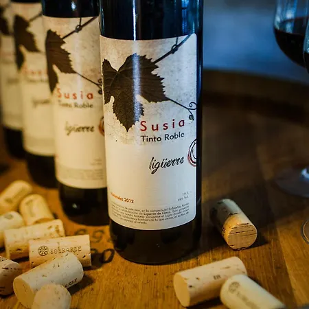 Semesterpark Ligueerre 3*