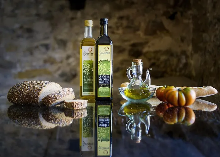 Semesterpark Ligueerre 3*