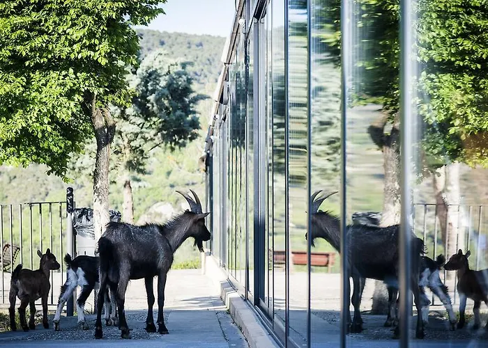 Semesterpark Ligueerre 3*